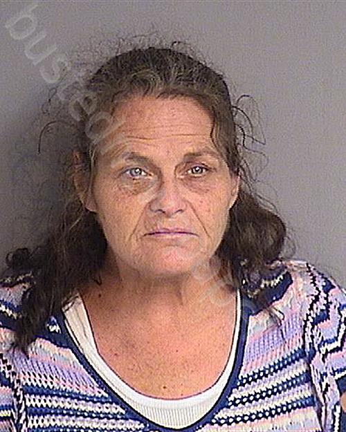 LISA MARGARET BRELSFORD #, Osceola County, Florida - 2025-06-20