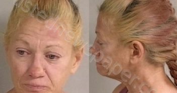 JEWELL, ANGELA SUE | 2025-06-21 16:08:44 Jackson County, Michigan Booking