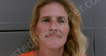 JOHNSON, REGINA NICOLE | 2025-06-21 17:00:00 Preston County, West Virginia Booking