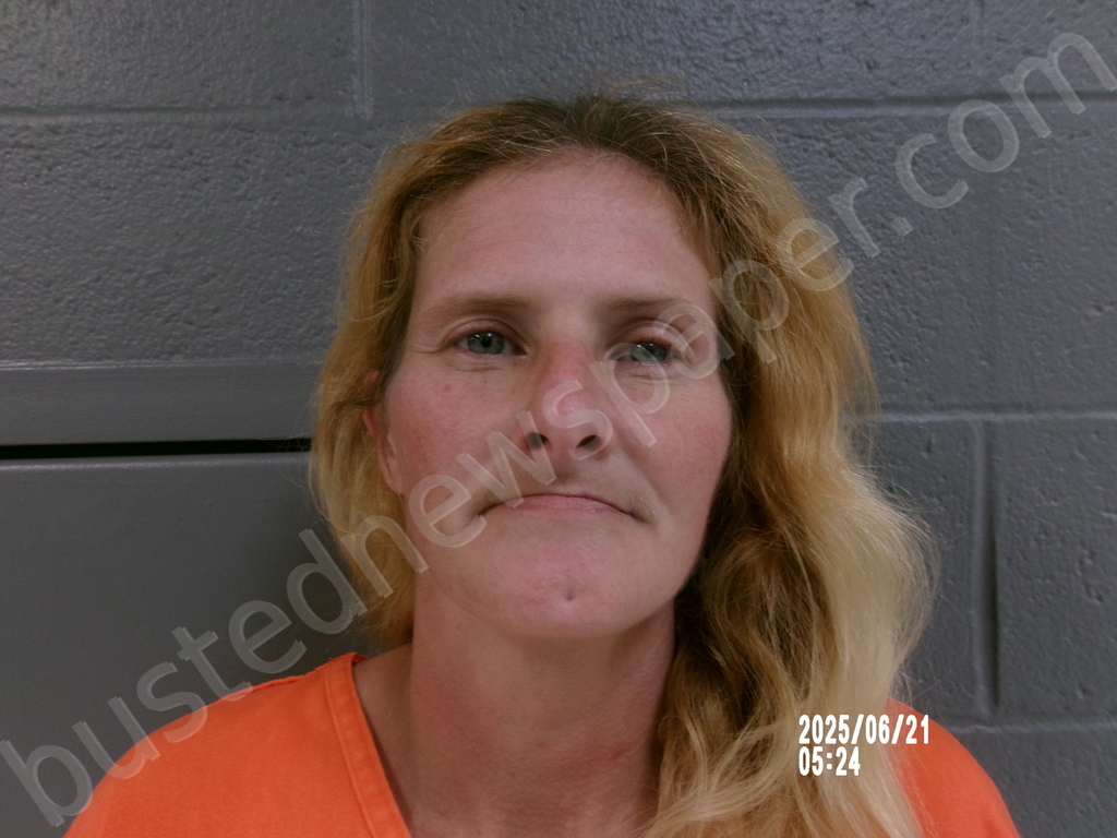JOHNSON, REGINA NICOLE #, Preston County, West Virginia - 2025-06-21 17:00:00