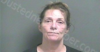 WILHITE, JOHNNA MARIE | 2025-06-22 02:58:00 Knox County, Indiana Booking