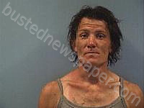 HOLBROOK, TYLER H #, Erie County, Ohio - 2025-06-22