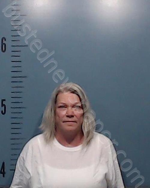 HUDSON, CHRISTINA ELAINE #, Taylor County, Texas - 2025-06-22