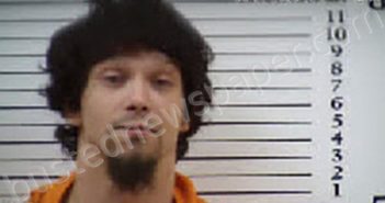 REED, ROBERT DEWAYNE | 2025-06-23 03:13:00 Cherokee County, North Carolina Booking