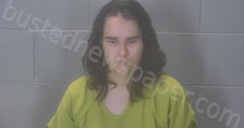 KELP, TAYLOR RENEE | 2025-06-23 04:13:13 Tippecanoe County, Indiana Booking