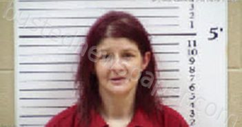 TYLER, APRIL MICHELLE | 2025-06-23 04:02:00 Cherokee County, North Carolina Booking