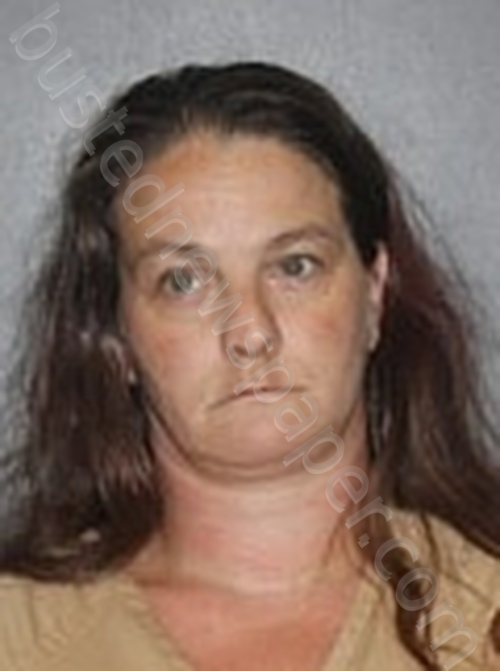 DEWITT, STEPHANIE #, Elkhart County, Indiana - 2025-06-24