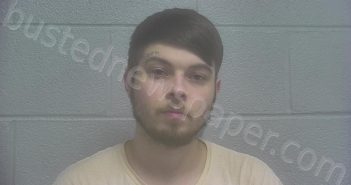 CHAPMAN, THOMAS ASPEN | 2025-06-24 11:34:00 Marshall County, Tennessee Booking