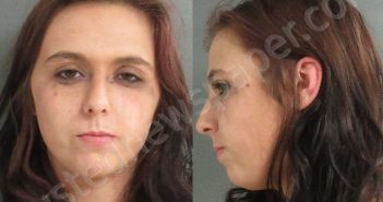 GREEN, ALEXIA MICHELLE | 2025-06-24 13:27:35 Jackson County, Michigan Booking
