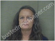 CUMMINGS, CARI | 2025-06-24 Harnett County, North Carolina Booking