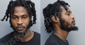 JEAN, HAROLD JUNIOR | 2025-06-24 10:57:00 Miami-Dade County, Florida Booking