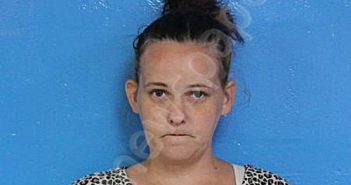 THOMPSON, LEILANA KAYLA-ROSE | 2025-06-24 16:26:00 Sullivan County, Tennessee Booking