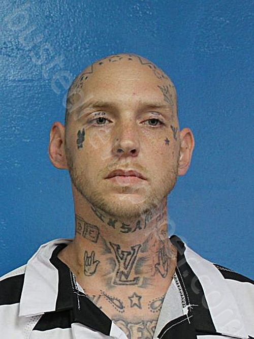 HEMLING, SHAWN CHRISTOPHER #, Sullivan County, Tennessee - 2025-06-24 16:22:44