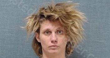 WILLIAMS, AMANDA KAY | 2025-06-24 18:30:00 Stark County, Ohio Booking