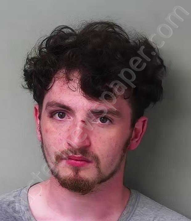 VOWELS, KEEGAN NATHANIEL #, Hillsdale County, Michigan - 2025-06-25 18:12:00