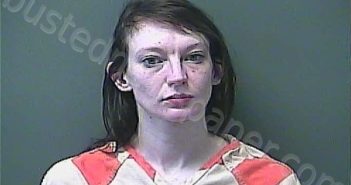 <B>VERNALLIS</B>, <B>PAIGE</B> <B>NICOLE</B> #, Laporte County, Indiana, La Porte County, Indiana - 2025-06-26 18:43:00