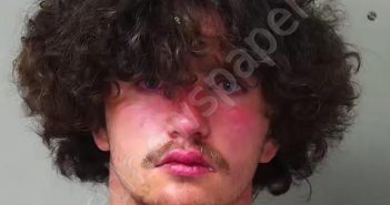 RUDD, LOGAN LEE | 2025-06-27 03:29:00 Hillsdale County, Michigan Booking