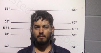 LUNA, <B>JONATHAN</B> OVIEDO #, Gillespie County, Texas - 2025-06-27