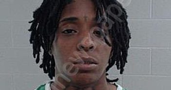 <B>AYERS</B>, <B>JKERIA</B> NELL SHAUTAE #, Johnson County, Texas - 2025-06-27