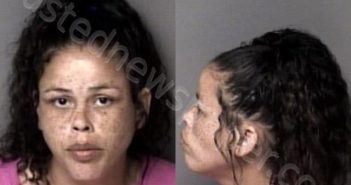 <B>AYERS</B>, <B>AMBER</B> <B>RENEE</B> #, Gaston County, North Carolina - 2025-06-27 22:10:00