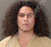 REBOLLEDO-<B>HERNANDEZ</B>, <B>JOSE</B> MANUEL <B>JR</B> #, Franklin County, Ohio - 2025-06-28
