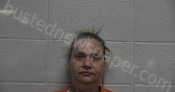 DENNIE, CHERISH | 2025-06-28 23:29:00 Jessamine County, Kentucky Booking