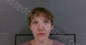 ABRAMS, BRIANA LAVINIA | 2025-06-29 03:30:00 Pocahontas County, West Virginia Booking