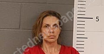 ELLIS, TONJA | 2025-06-29 01:59:00 St Clair County, Alabama Booking