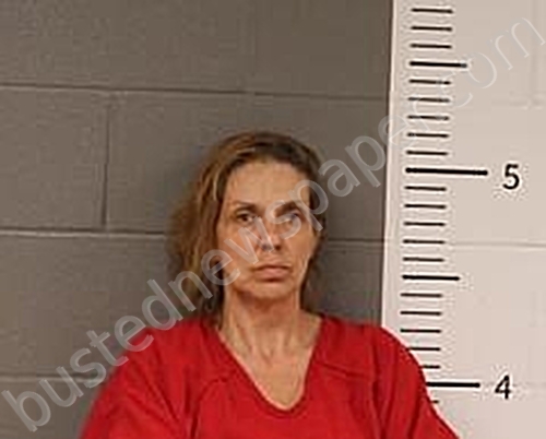 ELLIS, TONJA #, St Clair County, Alabama - 2025-06-29 01:59:00