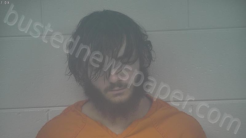PRICE, ETHAN SKYLAR #, Carroll County, Kentucky - 2025-06-29 00:22:00