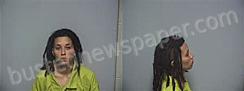 IBARRA-BOITNOTT, SARIAH ANGELITA #, Roanoke County, Virginia - 2025-06-29