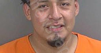 LUISVASQUEZ,SERGIO | 2025-06-30 Collier County, Florida Booking