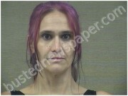 WALLACE, CRYSTAL | 2025-06-30 Harnett County, North Carolina Booking