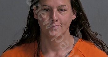 SNAVELY, CHRISTOPHER W | 2025-06-30 Sandusky County, Ohio Booking