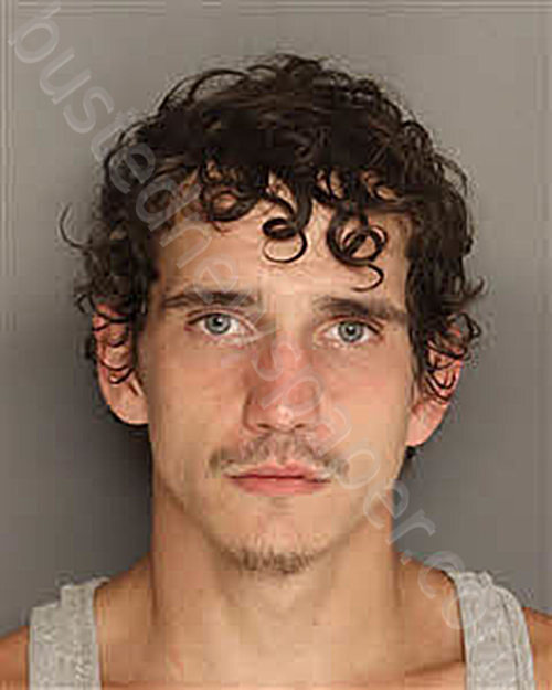 CARRAWAY, AARON LEE #, Berkeley County, South Carolina - 2025-06-30 14:41:00