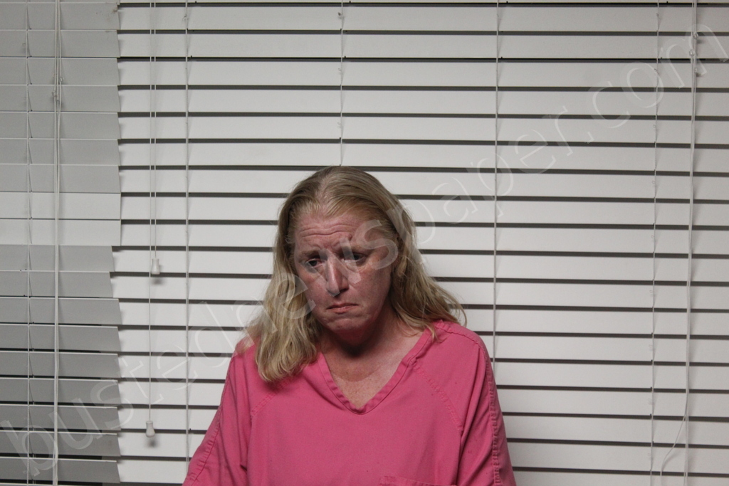 GOWER, LISA M #, Christian County, Missouri - 2025-06-30 20:20:00