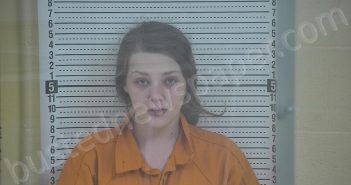 LEE, LATOYA RENE | 2025-06-30 04:43:00 Taylor County, Kentucky Booking