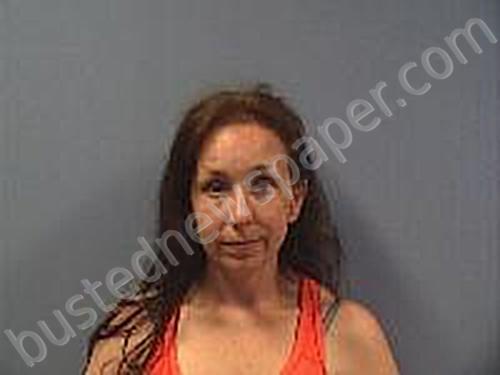 HOLLAND, MICHELLE LYNN #, Erie County, Ohio - 2025-06-30