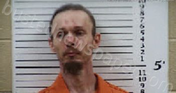 BROWN, JOHNATHAN BERRY | 2025-06-30 22:28:00 Cherokee County, North Carolina Booking