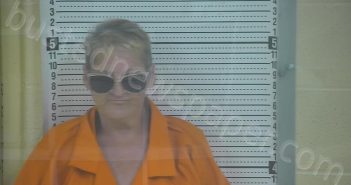 ALLAN, ROSEALEE RITCHIE | 2025-06-30 14:35:00 Taylor County, Kentucky Booking