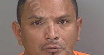 VIDAL,JUAN M | 2025-06-30 Collier County, Florida Booking