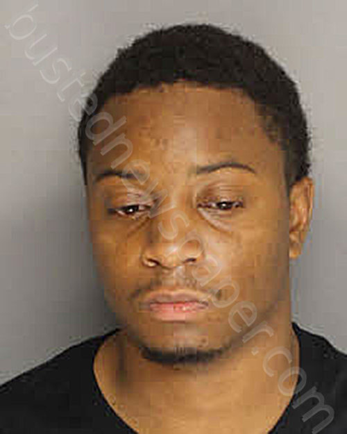 FELDER-DAVIS, GERARD ANTONIO #, Berkeley County, South Carolina - 2025-07-01 13:48:00