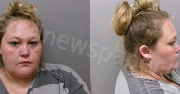 SCHNEIDER, BRITTANY KAYLYNN | 2025-07-01 Wise County, Texas Booking