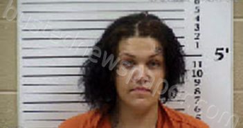 SHOOK, BROOKLYN CIARA | 2025-07-01 14:29:00 Cherokee County, North Carolina Booking