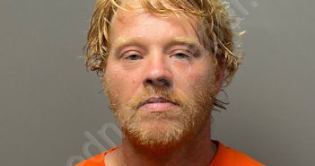 LITTLE, DAVID EDWARD | 2025-07-01 Walker County, Alabama Booking