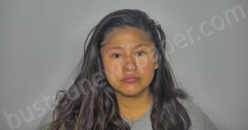 LONEBEAR, DANICA BELLE | 2025-07-02 12:34:00 Burleigh County, North Dakota Booking