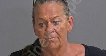WILLIS, MELISSA F | 2025-07-02 Sandusky County, Ohio Booking