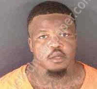 <B>YOUNG</B>, <B>DARIUS</B> #, Sarasota County, Florida - 2025-07-03