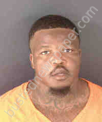 YOUNG, DARIUS #, Sarasota County, Florida - 2025-07-03
