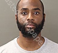 ROBERTSON, ROBIN ULRIN | 2025-07-03 Franklin County, Ohio Booking